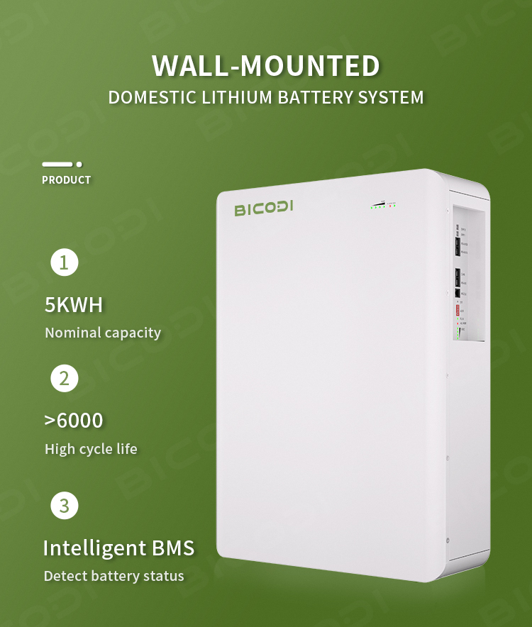 Pin Lưu Trữ Bicodi 5.12kw– BD48100R05