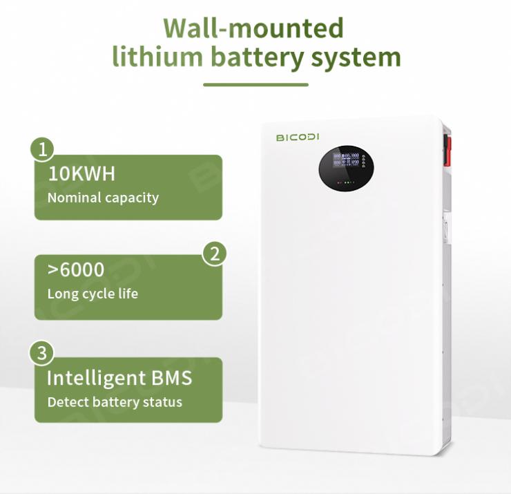 10KW Residential Energy Storage Lifepo4 Battery BD048200P10